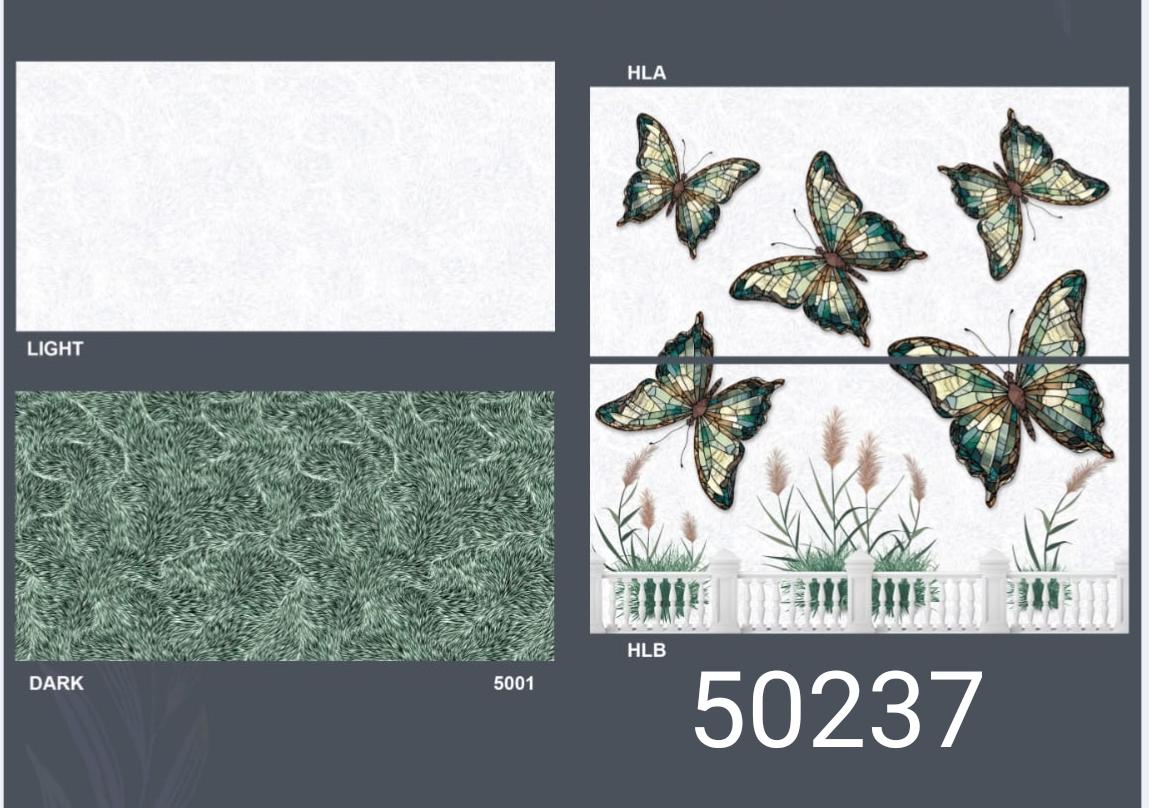 ANUJ 2X1 WALL TILE -50237